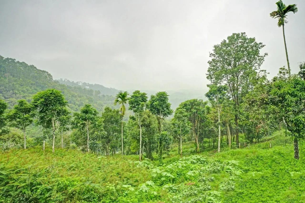 Oyo Flagship 81260 Star Lights Hotel Munnar